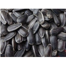 High Quality Sunflower Seeds Oil Grade